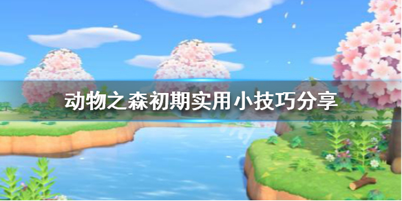 《集合啦动物森友会》初期怎么玩 初期实用小技巧分享