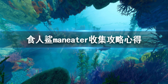 《食人鲨》Maneater收集攻略心得 Maneater怎么玩？