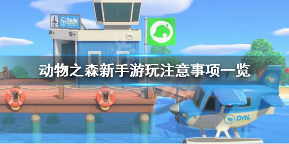 《集合啦动物森友会》新手怎么玩 新手游玩注意事项一览