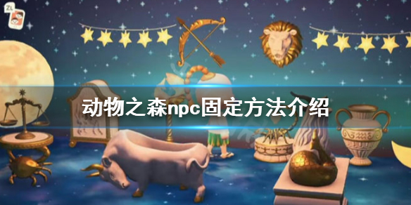 《集合啦动物森友会》npc怎么固定 npc固定方法介绍