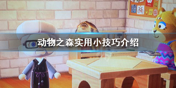 《集合啦动物森友会》怎么加速 游戏实用小技巧介绍