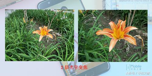 oppo r11plus评测[oppor11plus怎么样]