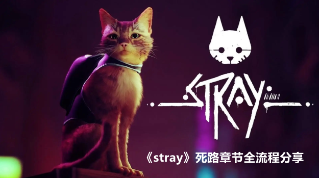 stray死路章节全流程分享