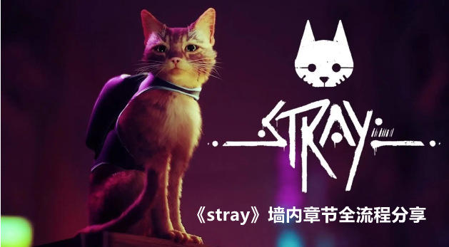 stray墙内章节全流程分享