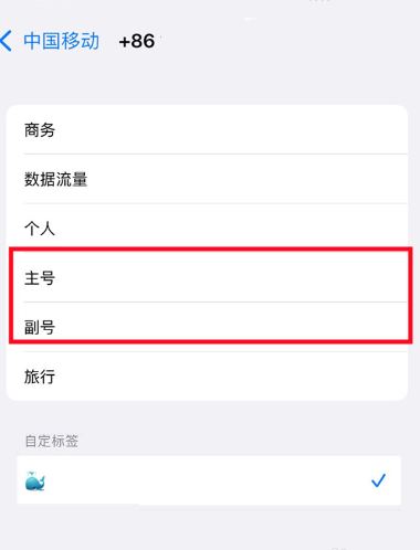 iPhone14怎么切换主副卡 iPhone14主副卡设置教程