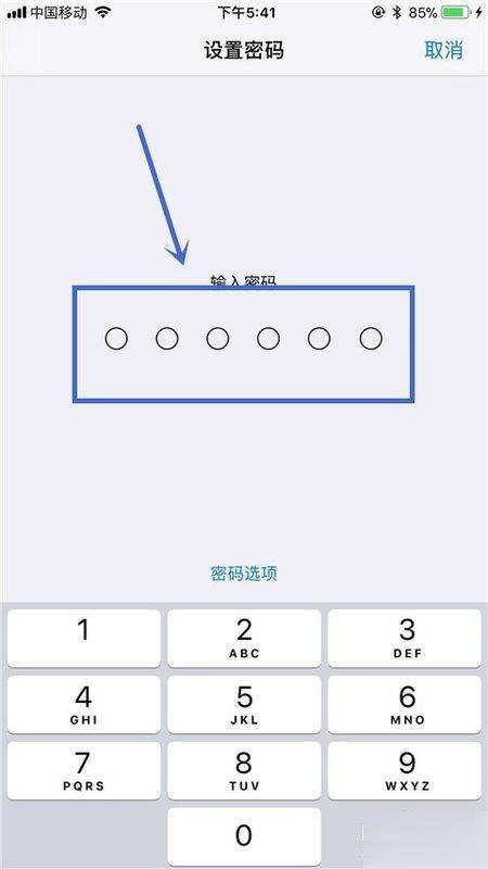 手机跳出一个确认iphone密码