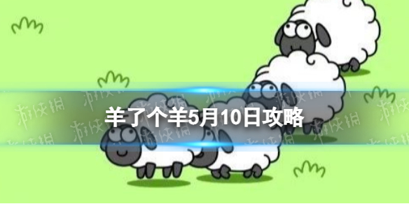 羊了个羊5月10日攻略[游戏攻略5月10日第二关]