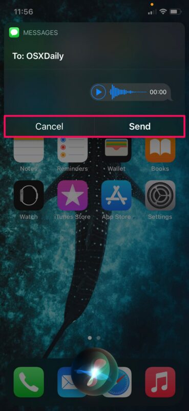 如何从iPhone使用Siri发送音频信息