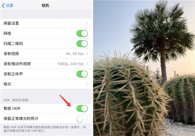 iPhone XR 如何拍摄出好照片?iPhone XR拍摄技巧