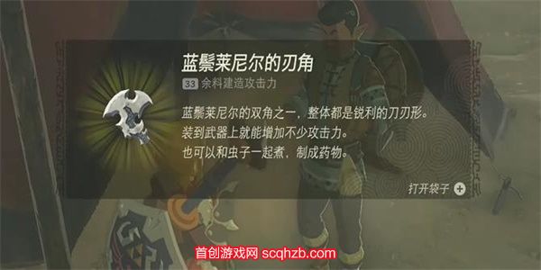 王国之泪寻找海盗的基地怎么做任务