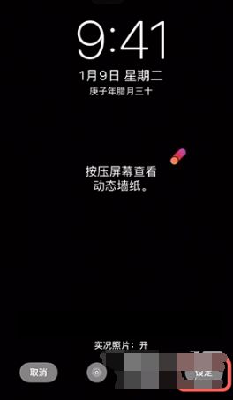 iphone动态壁纸怎么设置