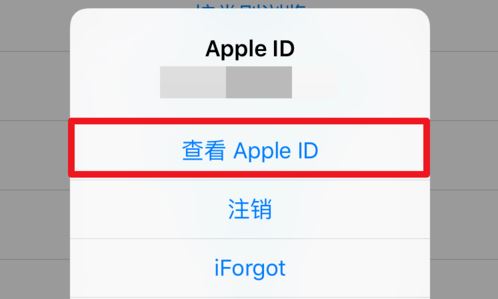 itunesstore目前无法处理您的购买解决方法