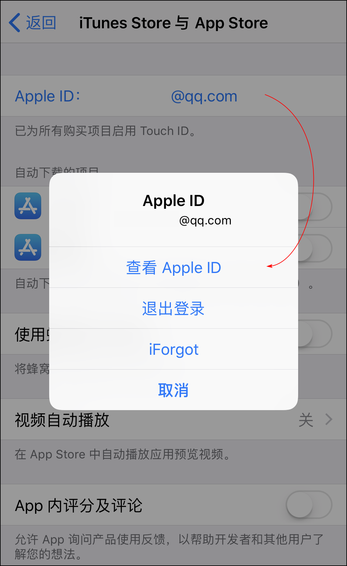 如何查看 App Store 或 iTunes Store 中的扣费项目？