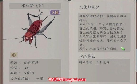 沉默的蟋蟀什么时候出的