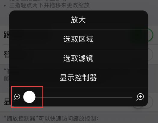 小技巧：利用“缩放”功能调整 iPhone 屏幕亮度