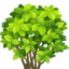 《迷你世界》灌木丛/灌木丛树苗获取方法作用一览