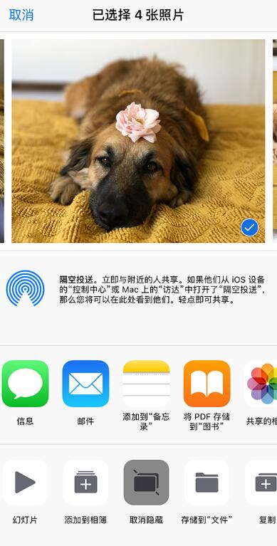 如何找回 iPhone 上丢失的照片？