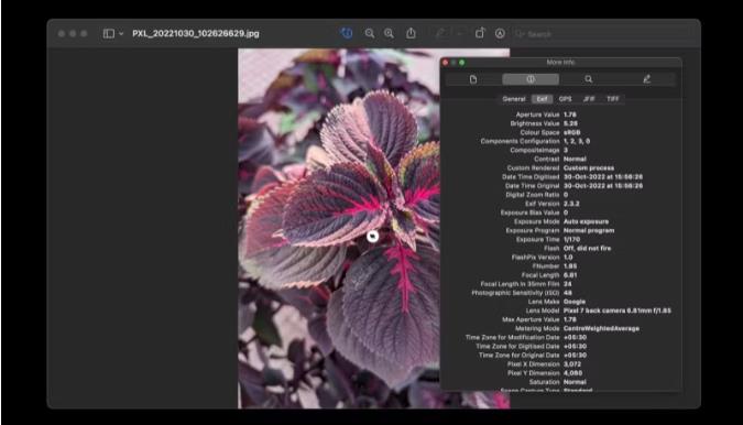 在苹果Mac上查看图像EXIF元数据的4种方法