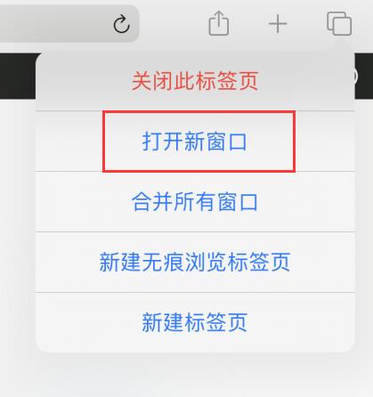 iPadOS 小技巧：如何在 iPad 上使用分屏功能？