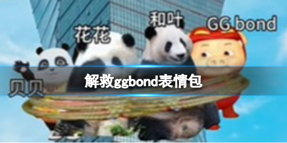 死猪表情包[解救ggbond表情包分享]