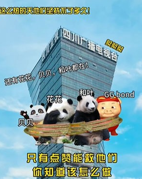 解救ggbond原图[ggbond图片分享]