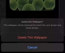ios17墙纸怎么删除