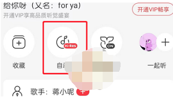 网易云怎么弄音质