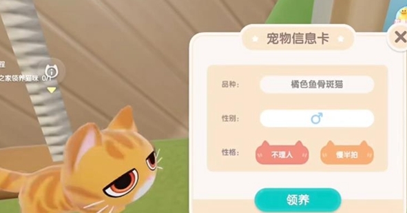 《心动小镇》养猫攻略一览