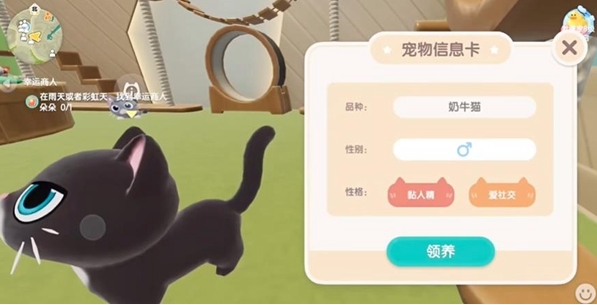 《心动小镇》养猫攻略一览