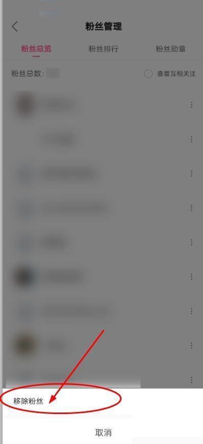 哔哩哔哩移除粉丝怎么操作的