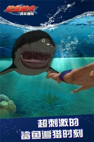 鲨鱼捕食手机版