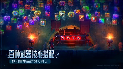 重生细胞b站登录版