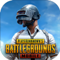 pubg地铁逃生bn全防永久卡密(PUBG MOBILE)