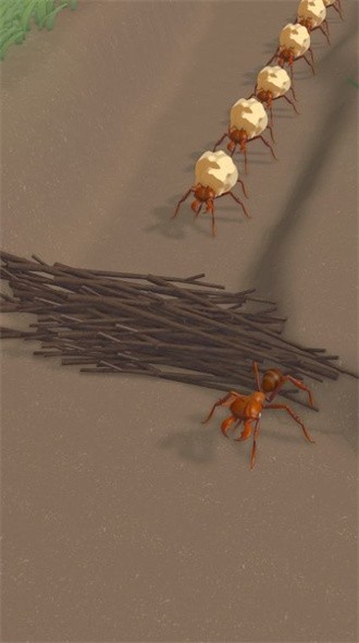 蚂蚁建造(Ants Game)